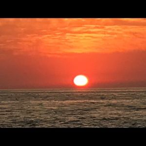 Meet your Posher, Sandy